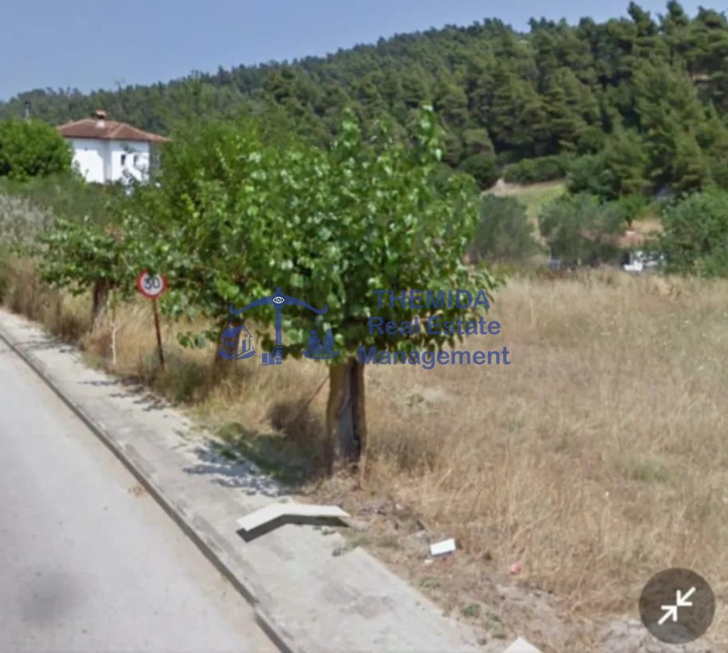 Οικόπεδο 600 τ.μ. προς πώληση, Σκάλα Φούρκας