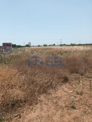 Αγροτεμάχια 1.273 τ.μ. προς πώληση