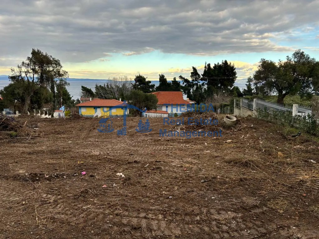 Αγροτεμάχια 4.000 τ.μ. προς πώληση, Κρυοπηγή Κασσάνδρας