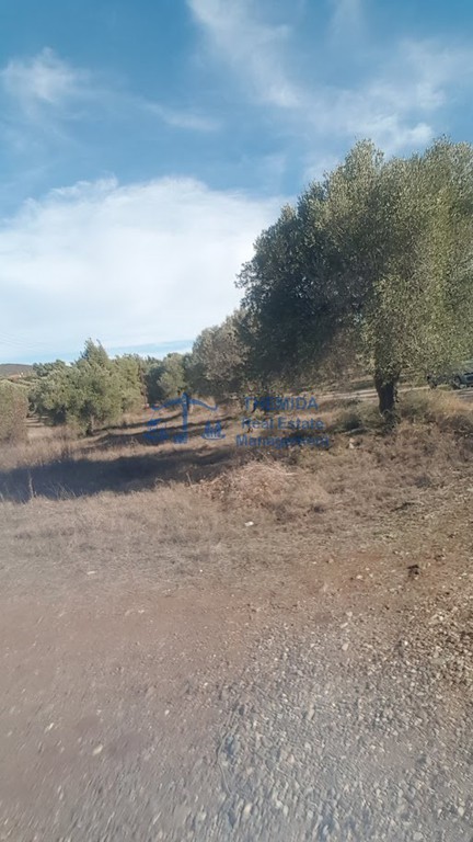 Αγροτεμάχια 4.000 τ.μ. προς πώληση, Κέντρο Ορμύλιας