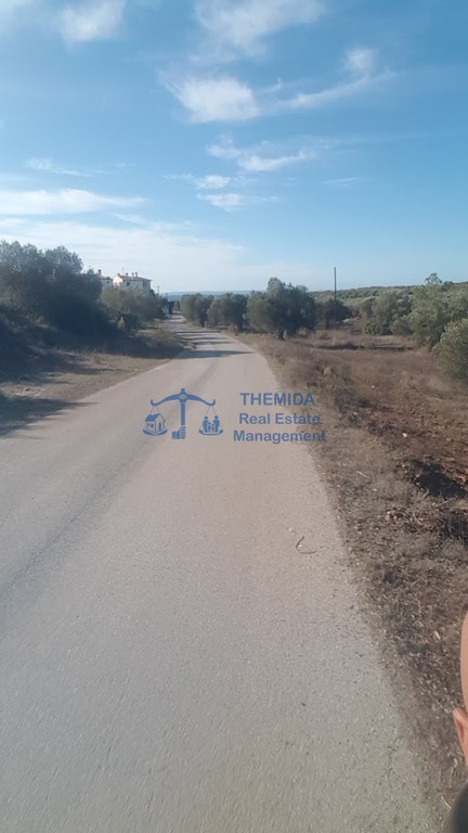 Αγροτεμάχια 4.000 τ.μ. προς πώληση, Κέντρο Ορμύλιας