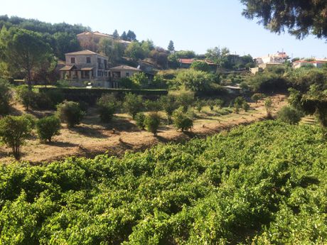 Land plot 2.934sqm for sale-Arkadi