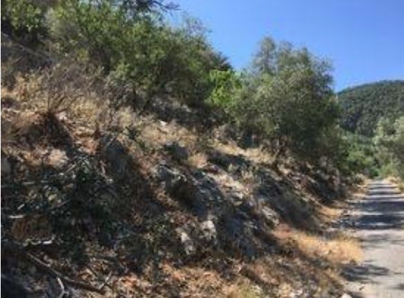 Αγροτεμάχια 5.000 τ.μ. για πώληση, Ν. Λευκάδας, Λευκάδα