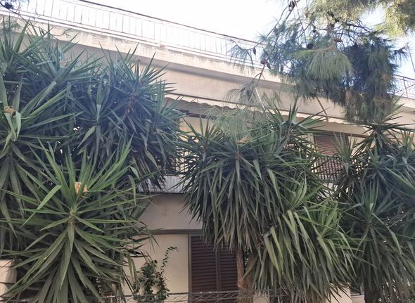 Apartment 117 sqm for sale, Athens - West, Petroupoli