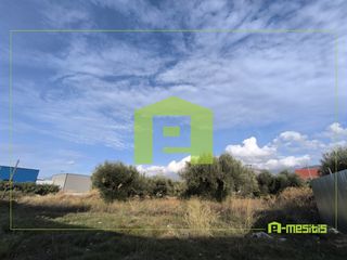 Οικόπεδο 450 τ.μ. πρός ενοικίαση, Αχαΐα, Πάτρα-thumb-6