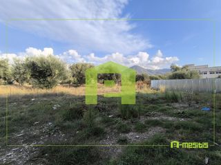 Οικόπεδο 450 τ.μ. πρός ενοικίαση, Αχαΐα, Πάτρα-thumb-11
