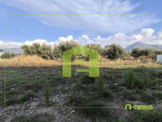Οικόπεδο 450 τ.μ. πρός ενοικίαση, Αχαΐα, Πάτρα-thumb-10