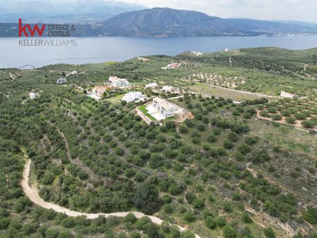 Land plot 3.393,18sqm for sale-Akrotiri