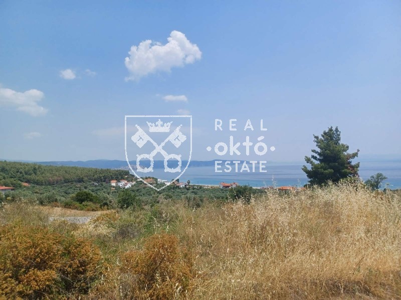 Αγροτεμάχια 4.760 τ.μ. πρός πώληση, Χαλκιδική, Σιθωνία