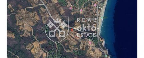 Parcel 4.760sqm for sale-Sithonia » Salonikiou