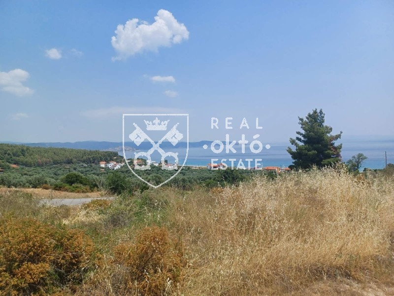 Αγροτεμάχια 4.760 τ.μ. πρός πώληση, Χαλκιδική, Σιθωνία