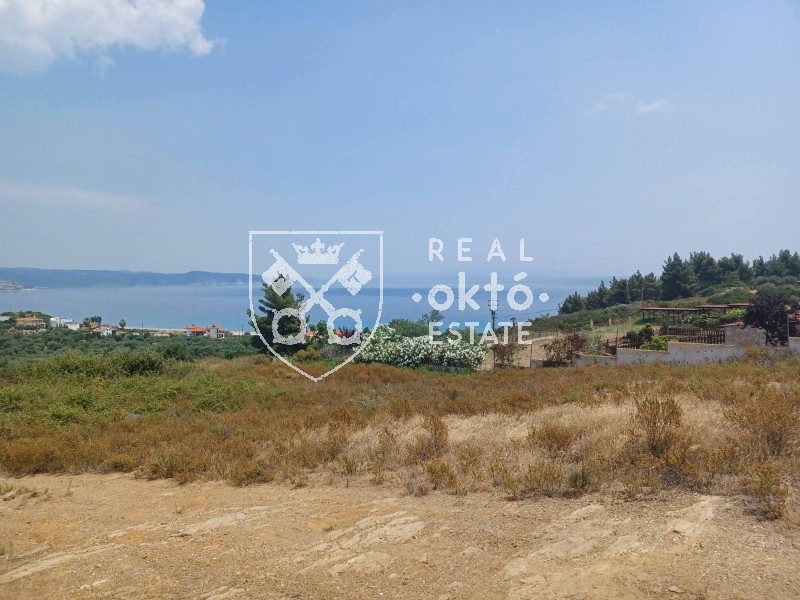 Αγροτεμάχια 4.760 τ.μ. πρός πώληση, Χαλκιδική, Σιθωνία