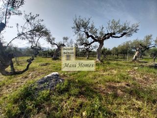 Οικόπεδο 912 τ.μ. για πώληση, Μεσσηνία, Λεύκτρος-thumb-2