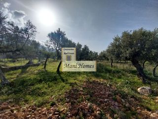 Οικόπεδο 912 τ.μ. για πώληση, Μεσσηνία, Λεύκτρος-thumb-1