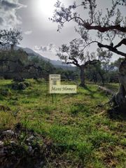 Οικόπεδο 912 τ.μ. για πώληση, Μεσσηνία, Λεύκτρος-thumb-7