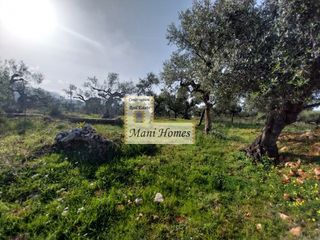 Οικόπεδο 912 τ.μ. για πώληση, Μεσσηνία, Λεύκτρος-thumb-4