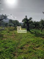 Οικόπεδο 912 τ.μ. για πώληση, Μεσσηνία, Λεύκτρος-thumb-6