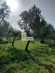 Οικόπεδο 912 τ.μ. για πώληση, Μεσσηνία, Λεύκτρος-thumb-5