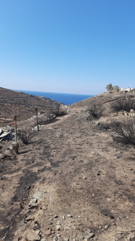 Αγροτεμάχια 37.442 τ.μ. προς πώληση, Κούνδουρος Κέας