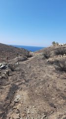 Αγροτεμάχια 37.442 τ.μ. για πώληση