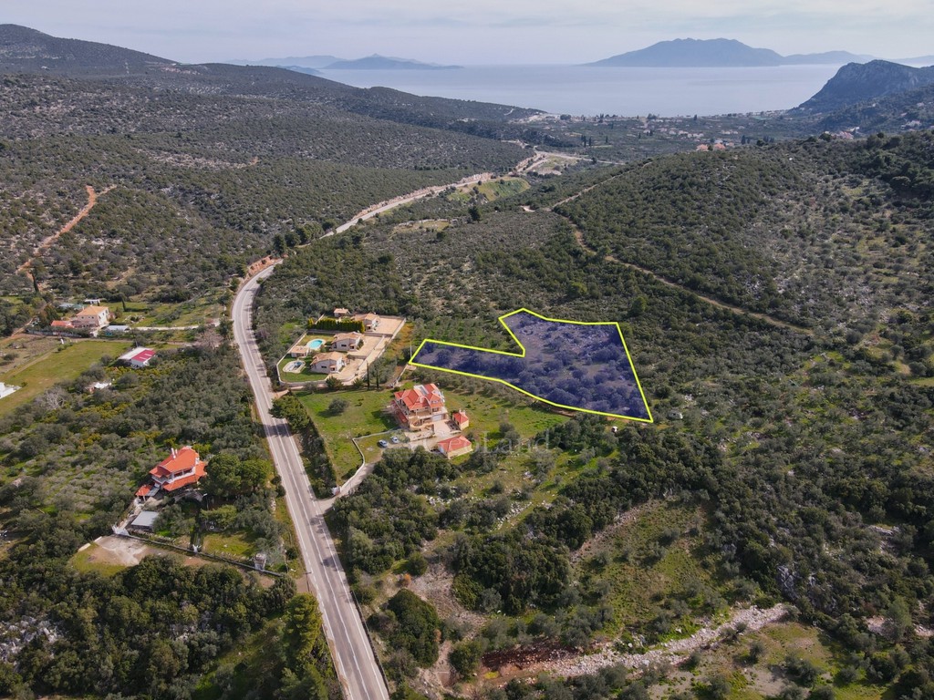 Αγροτεμάχια 5.224 τ.μ. προς πώληση, Νέα Επίδαυρος