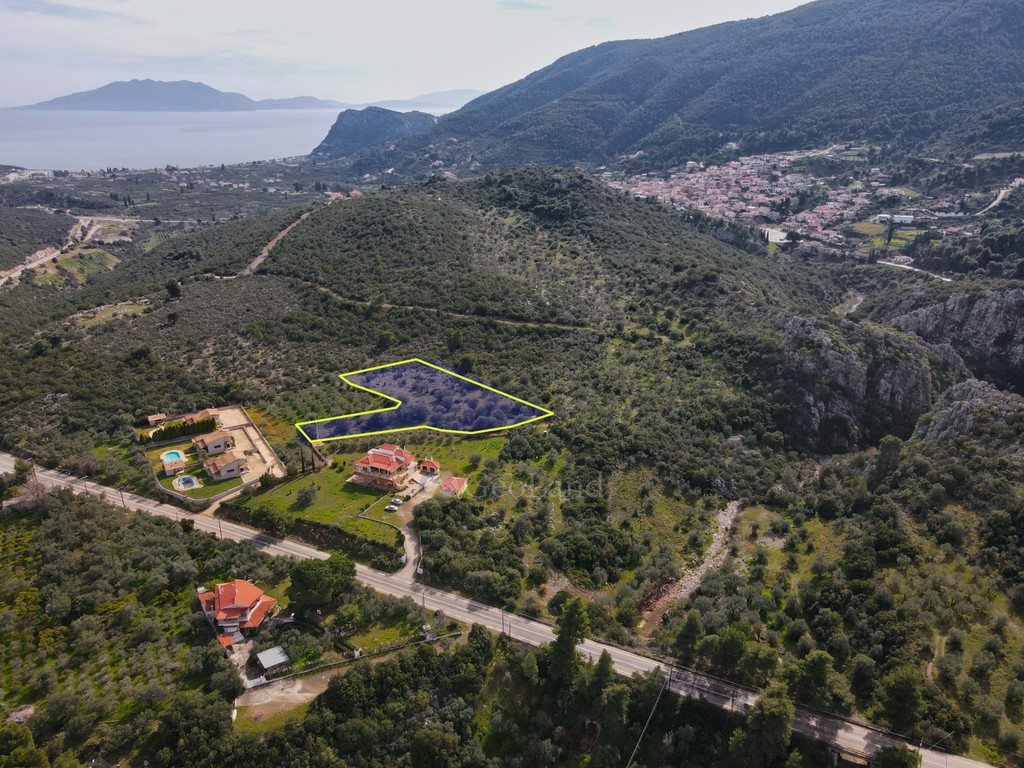 Αγροτεμάχια 5.224 τ.μ. προς πώληση, Νέα Επίδαυρος