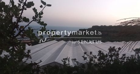 Αγροτεμάχια 5.300τ.μ. για πώληση-Ιεράπετρα » Ανατολή