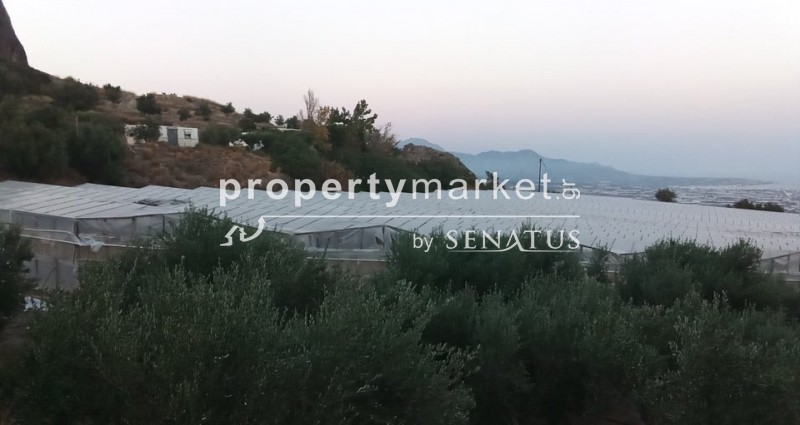 Αγροτεμάχια 5.300 τ.μ. προς πώληση, Ανατολή Ιεράπετρας