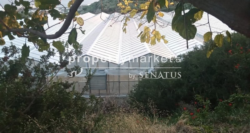 Αγροτεμάχια 5.300 τ.μ. προς πώληση, Ανατολή Ιεράπετρας