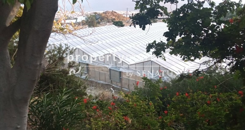 Αγροτεμάχια 5.300 τ.μ. προς πώληση, Ανατολή Ιεράπετρας