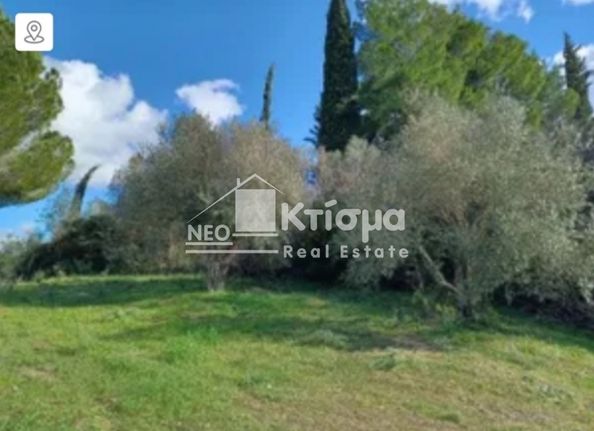 Οικόπεδο 3.241 τ.μ. για πώληση, Ν. Ηλείας, Αρχαία Ολυμπία