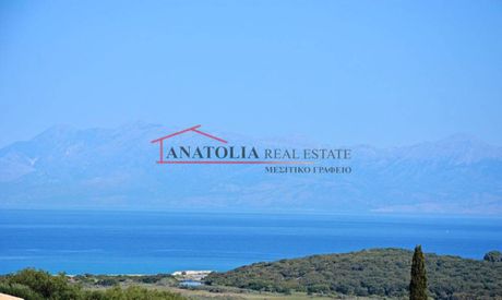 Αγροτεμάχια 25.000 τ.μ. για πώληση