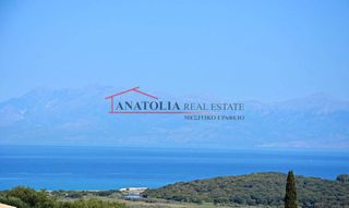 Αγροτεμάχια 25.000 τ.μ. για πώληση