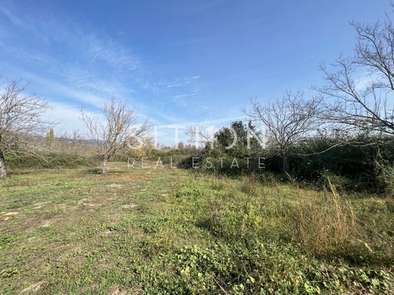 Αγροτεμάχια 6.301 τ.μ. για πώληση, Χαλκιδική, Τορώνη