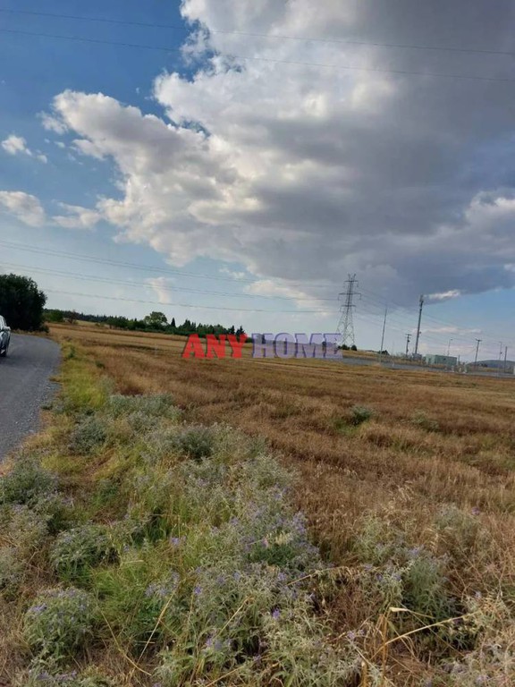 Αγροτεμάχια 13.500 τ.μ. προς πώληση, Νέα Μεσημβρία