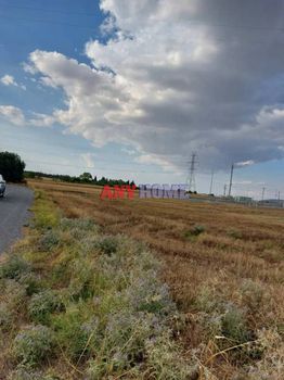 Parcel 13.500sqm for sale-Agios Athanasios » Nea Mesimvria
