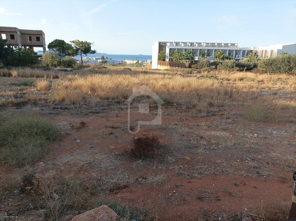 Αγροτεμάχια 3.100 τ.μ. προς ενοικίαση, Πελεκητά
