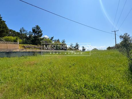 Οικόπεδο 293,08τ.μ. για πώληση-Χίος » Αμάνη