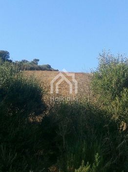 Αγροτεμάχια 4.483 τ.μ. για πώληση