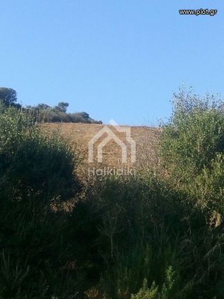 Parcel 4.483 sqm for sale, Chalkidiki, Panagia