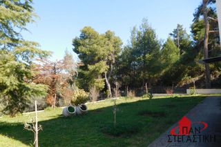 Μονοκατοικία 244 τ.μ. για πώληση, Εύβοια, Αυλίδα-thumb-5