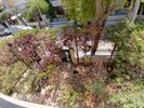 Detached home 83sqm for rent-Moschato » Center