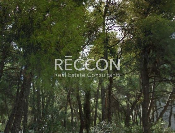 Land plot 1.300 sqm for sale, Athens - North, Stamata