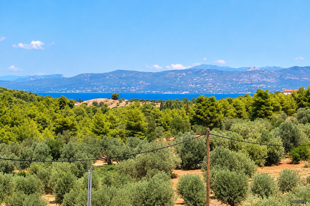 Μονοκατοικία 255 τ.μ. προς πώληση, Αττική - Υπόλοιπο, Μαρκόπουλο Ωρωπού