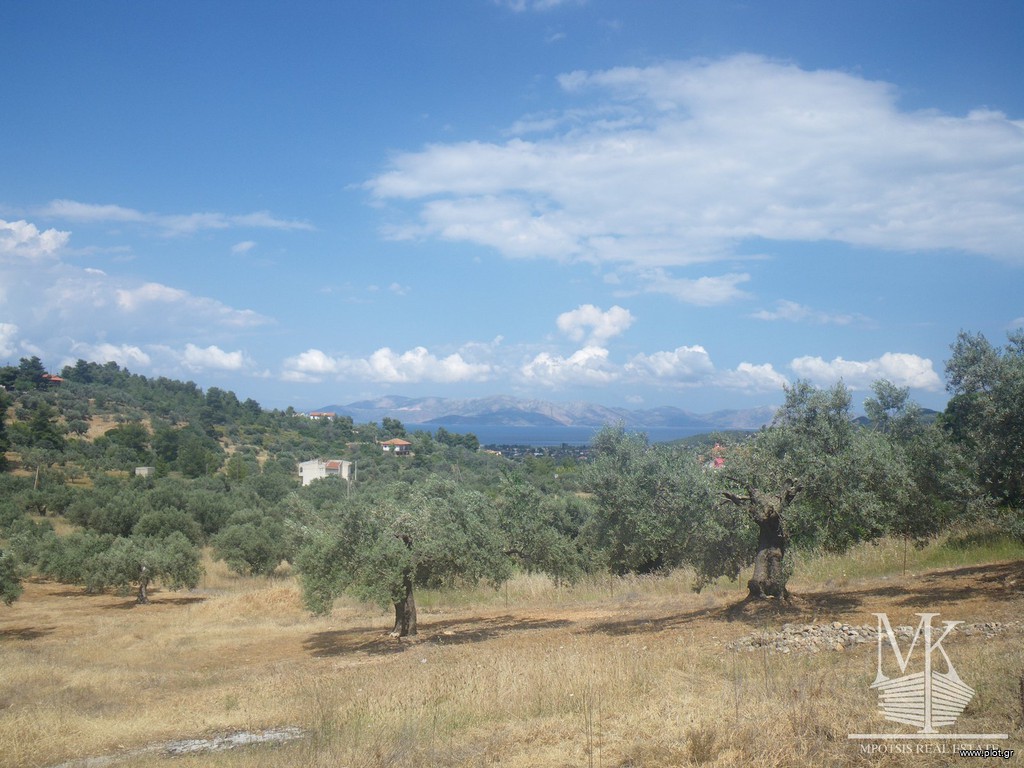 Αγροτεμάχια 4.096 τ.μ. πρός πώληση, Αττική - Υπόλοιπο, Κάλαμος