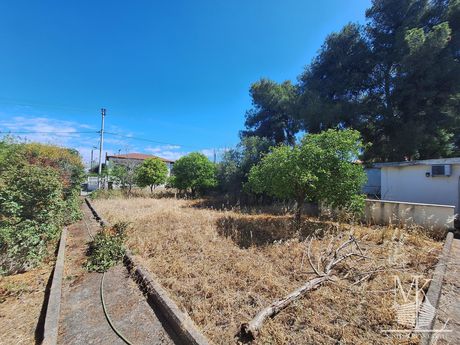 Land plot 568sqm for sale-Com. Skalas Oropou » Skala Oropou