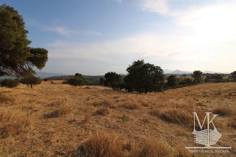 Parcel 4.000sqm for sale-Com. Kapandriti