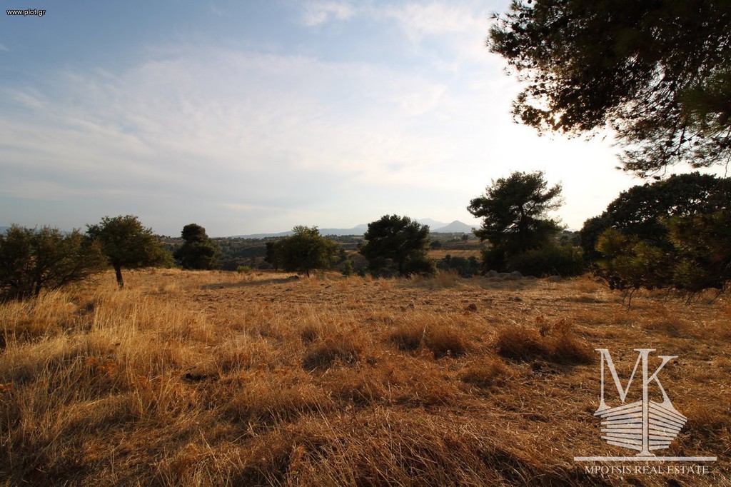 Αγροτεμάχια 4.000 τ.μ. πρός πώληση, Αττική - Υπόλοιπο, Κ. Καπανδριτίου