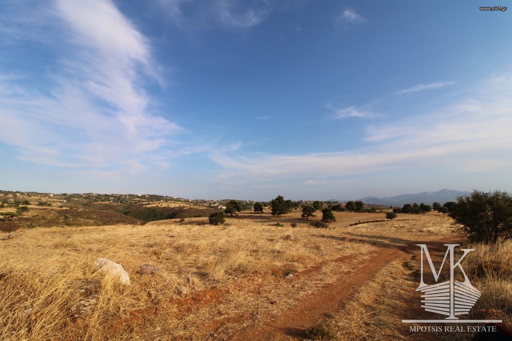 Αγροτεμάχια 4.000 τ.μ. πρός πώληση, Αττική - Υπόλοιπο, Κ. Καπανδριτίου