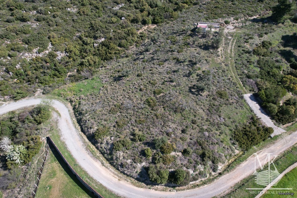Αγροτεμάχια 4.100 τ.μ. πρός πώληση, Αττική - Υπόλοιπο, Μαρκόπουλο Ωρωπού